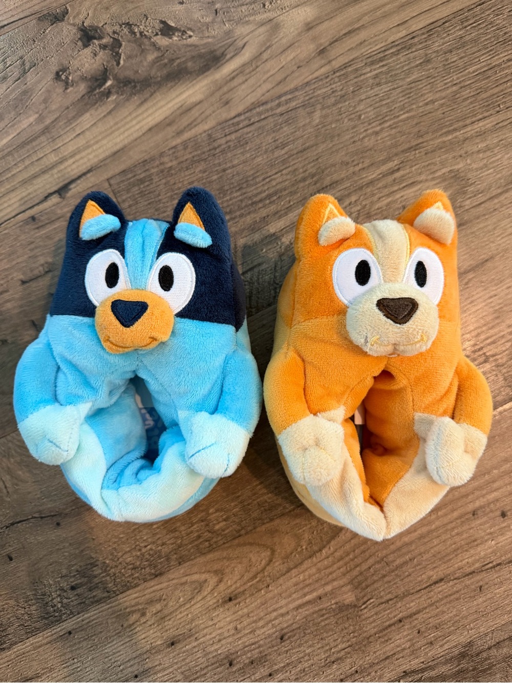 New Bluey Slippers